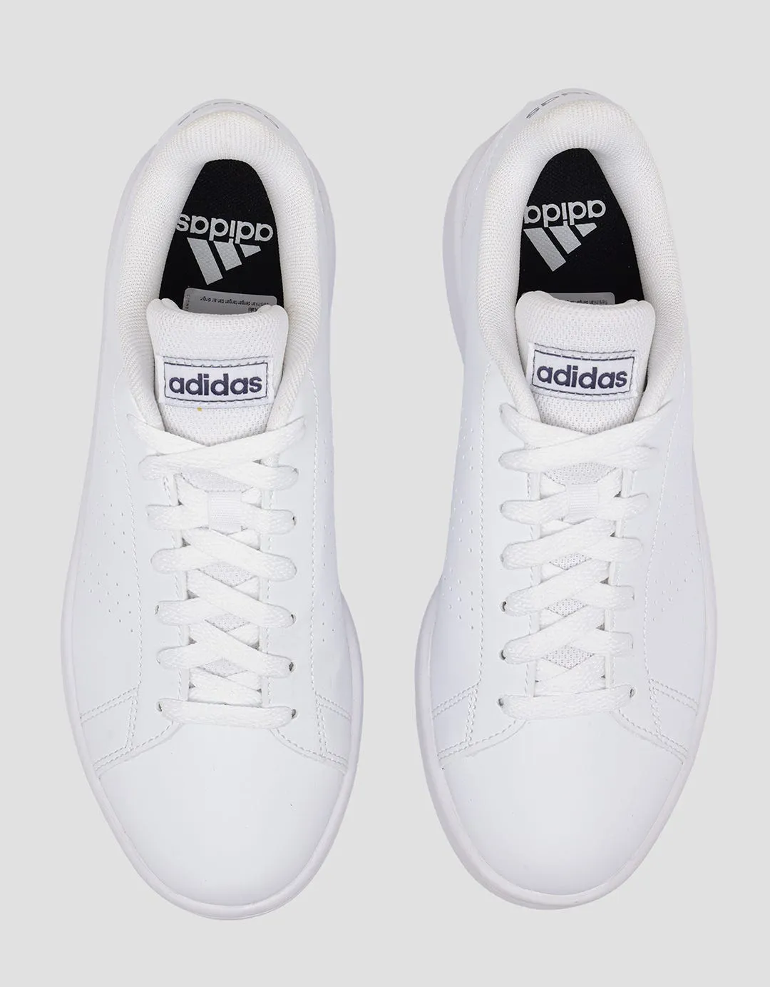 Adidas Sportlife Advantage Base Sepatu Tennis Pria