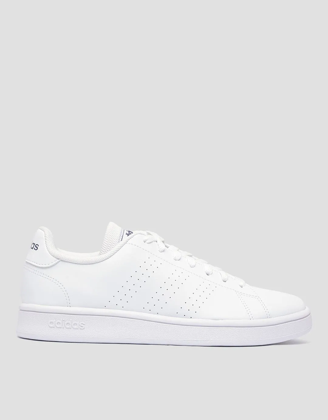 Adidas Sportlife Advantage Base Sepatu Tennis Pria