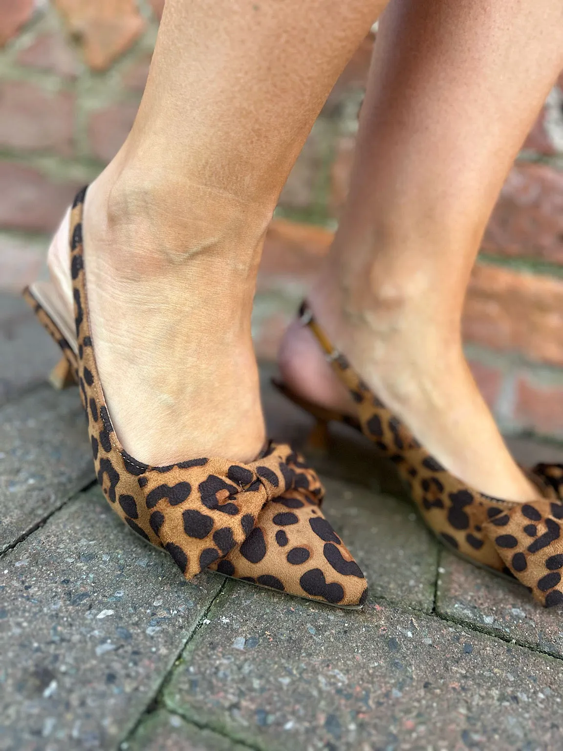 Leopard Kitten Heel Bow Shoes