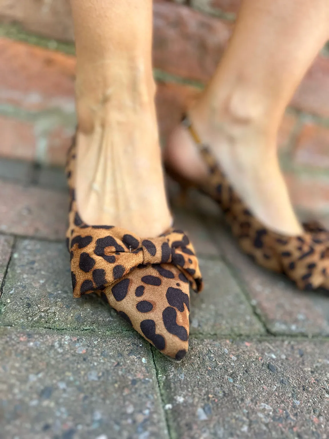 Leopard Kitten Heel Bow Shoes