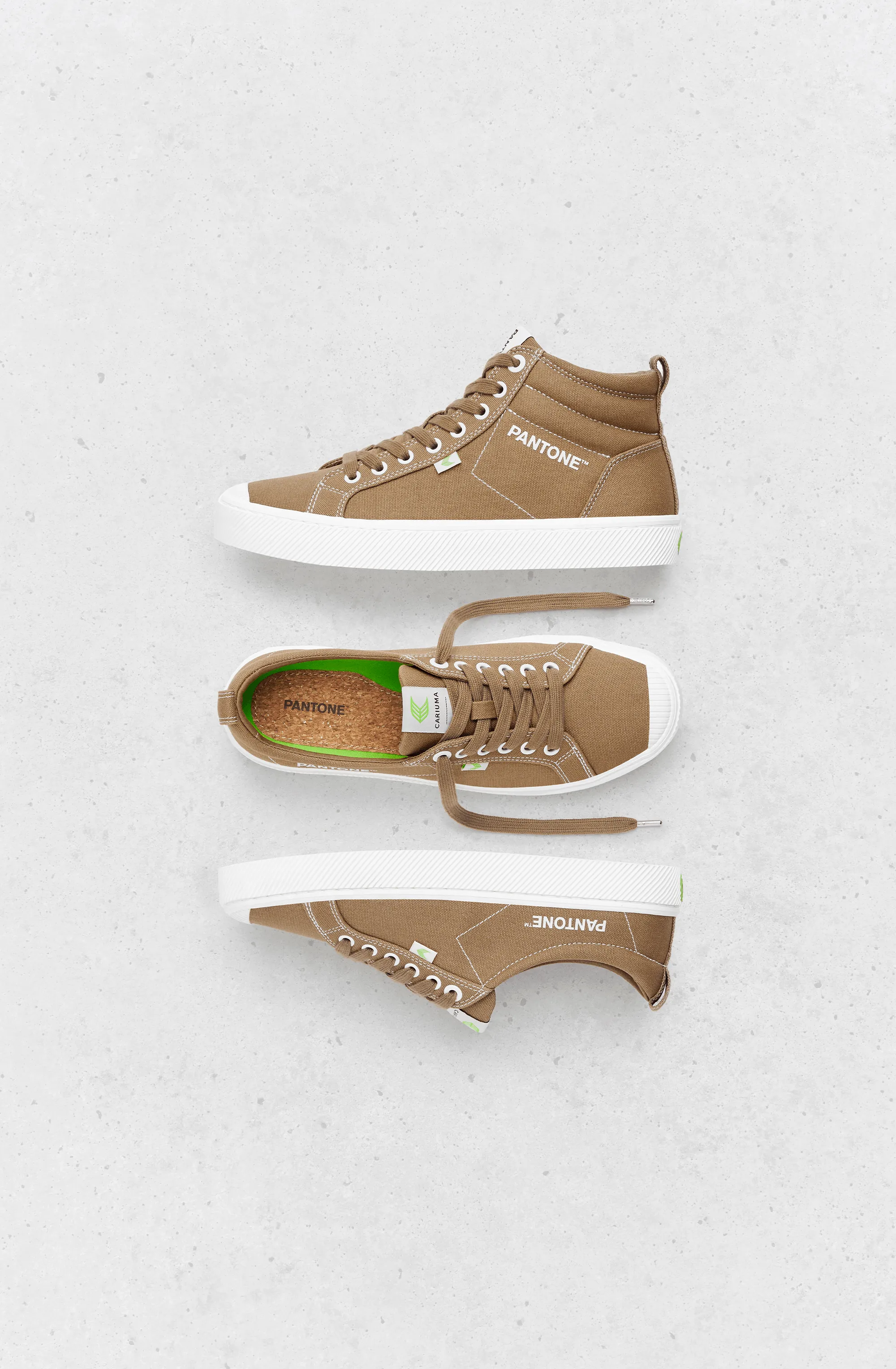 OCA Low Pantone Lion Canvas Contrast Thread Sneaker Women