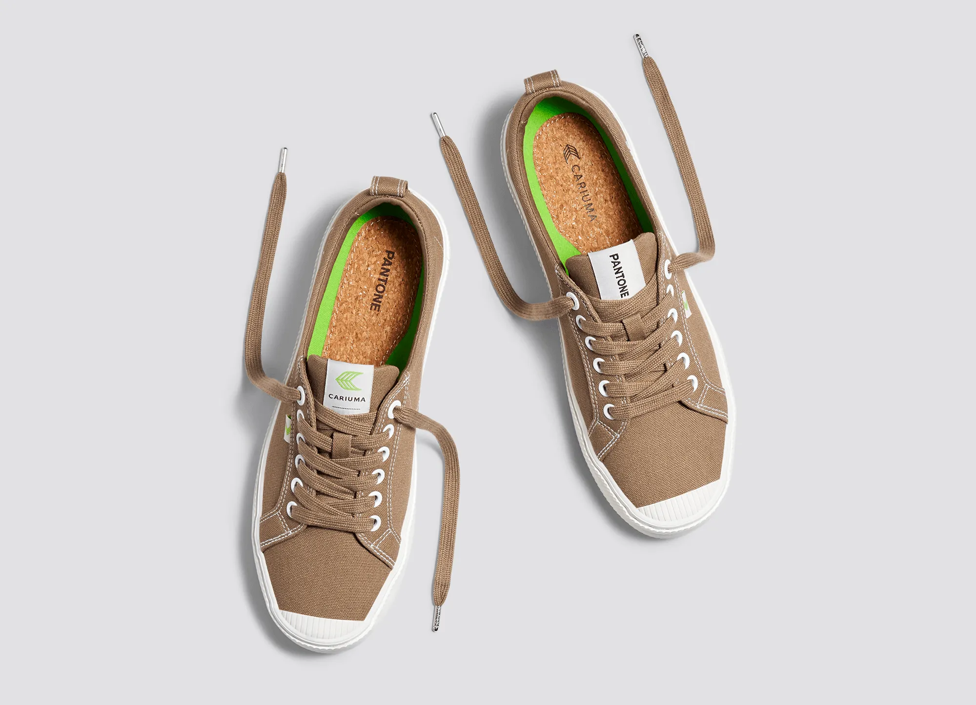 OCA Low Pantone Lion Canvas Contrast Thread Sneaker Women