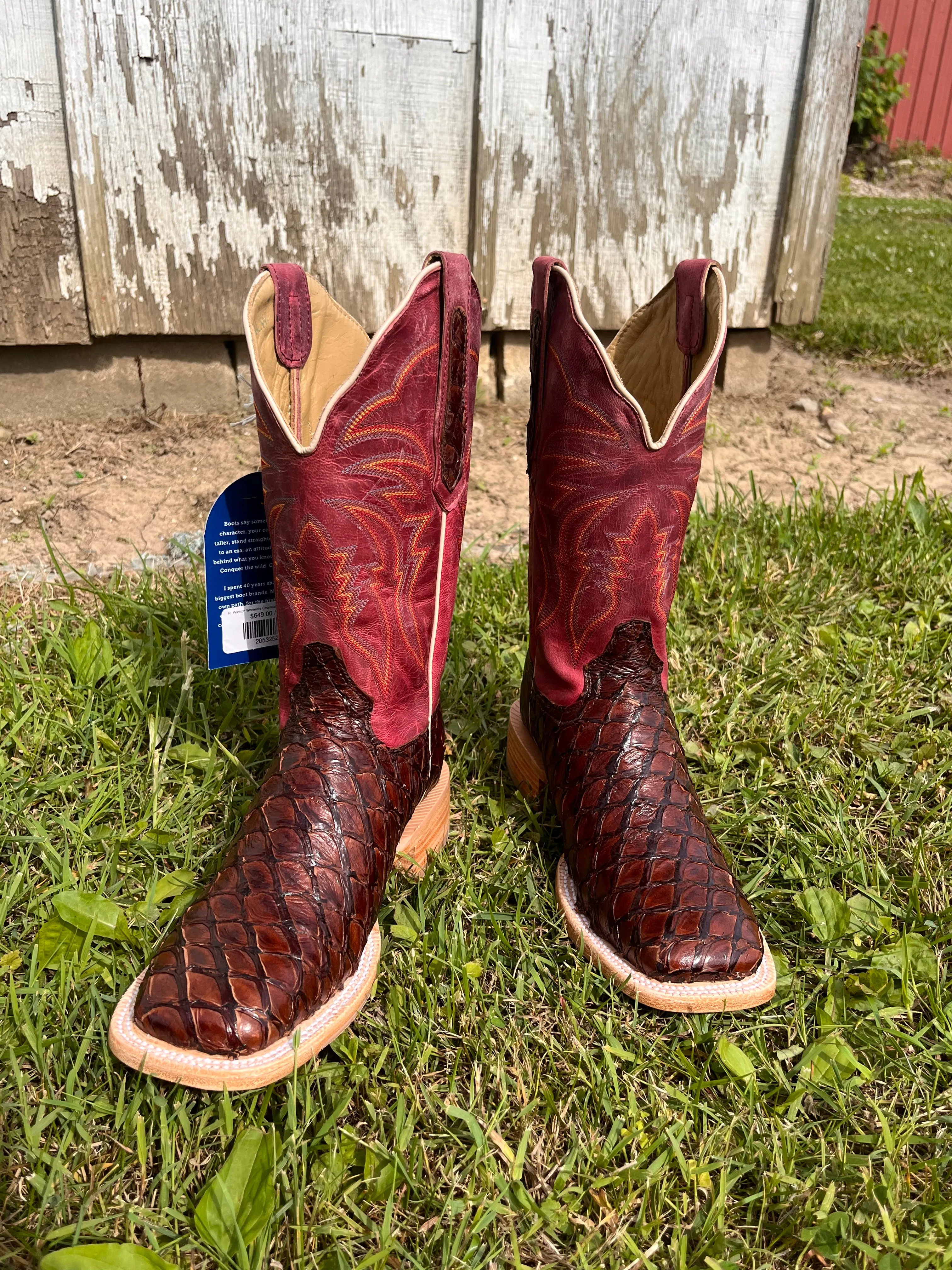 R. Watson Women's Chocolate Pirarucu Square Toe Cowgirl Boots RWL7800-2