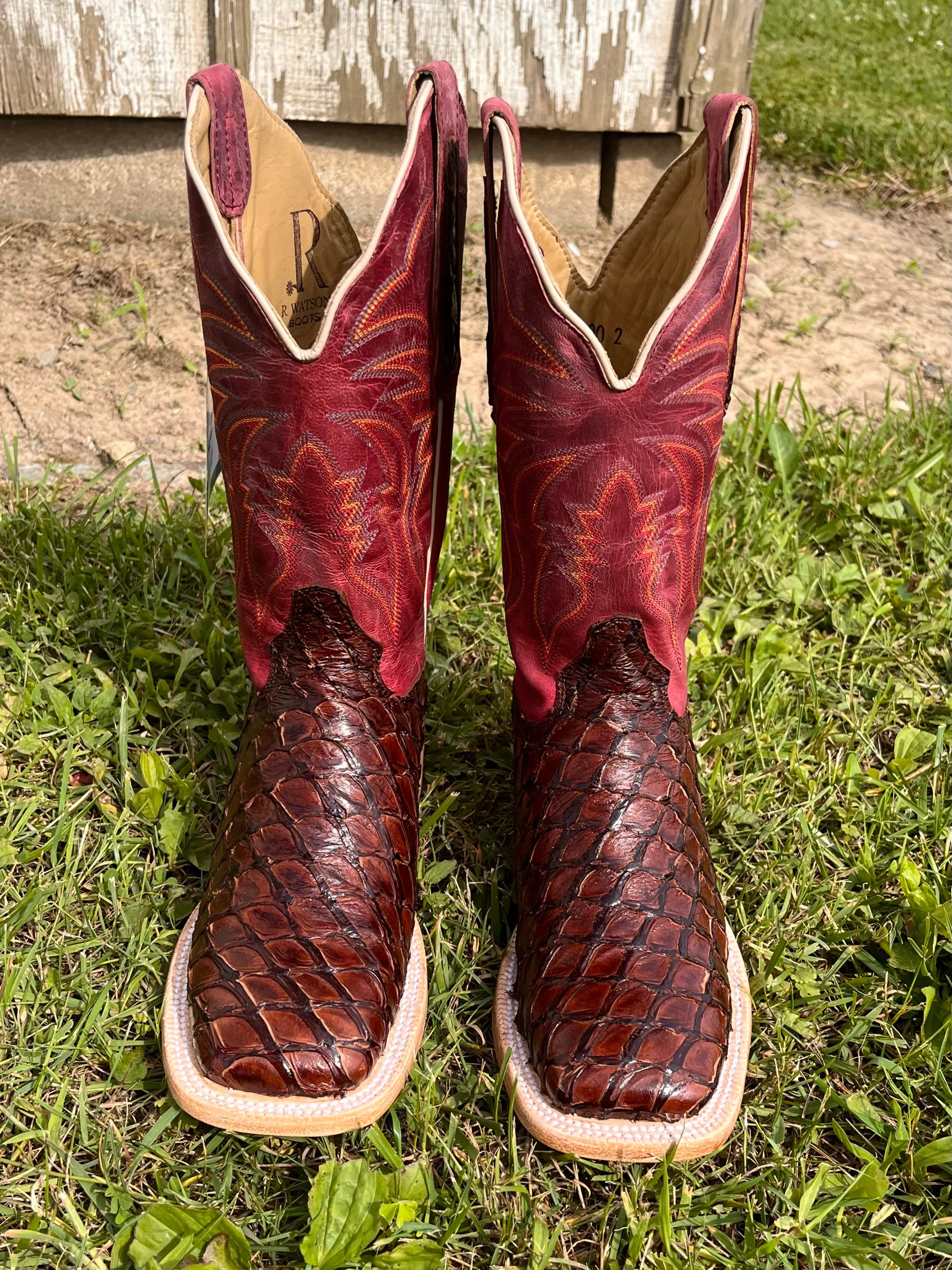 R. Watson Women's Chocolate Pirarucu Square Toe Cowgirl Boots RWL7800-2