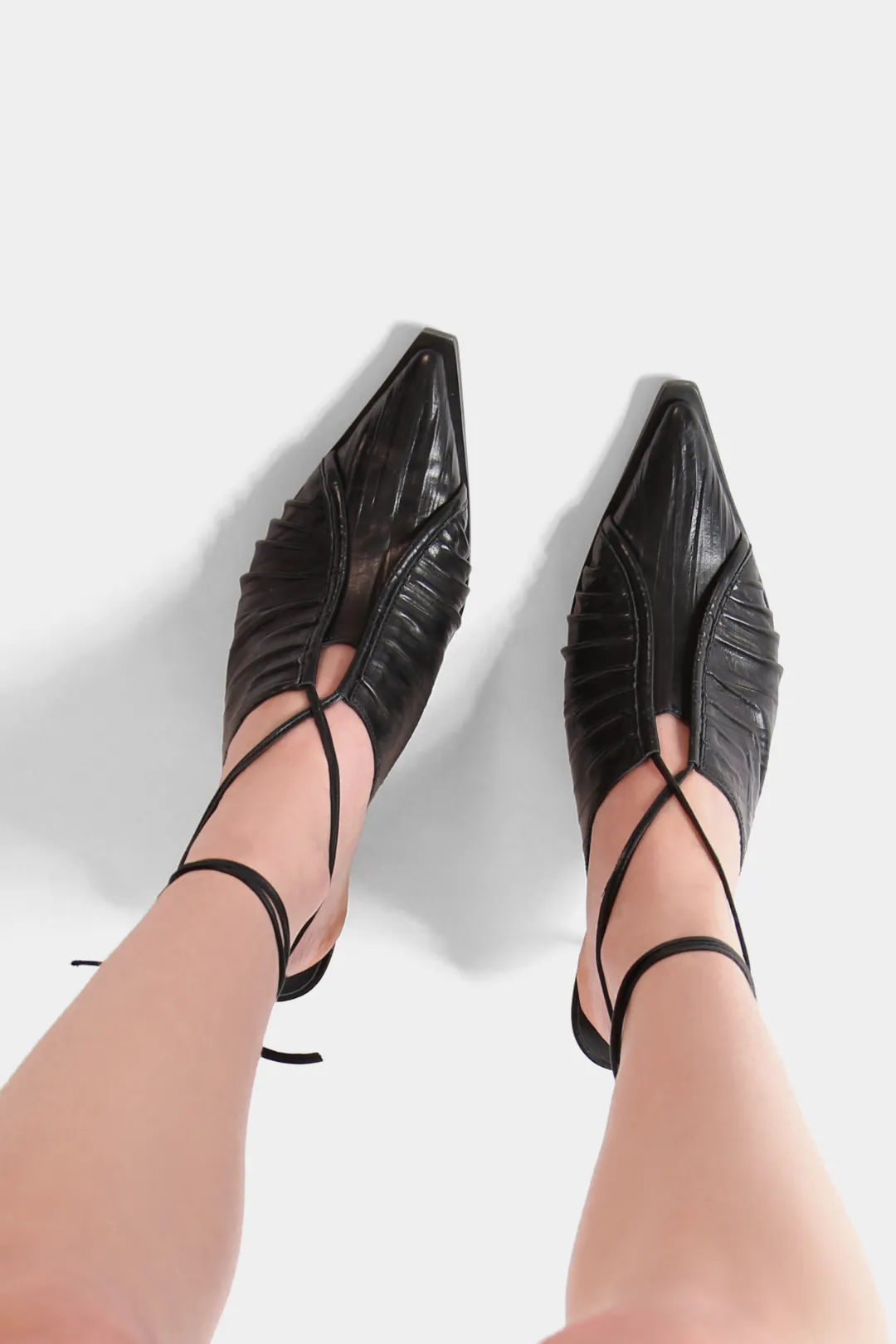 Scorpio Rising Mules