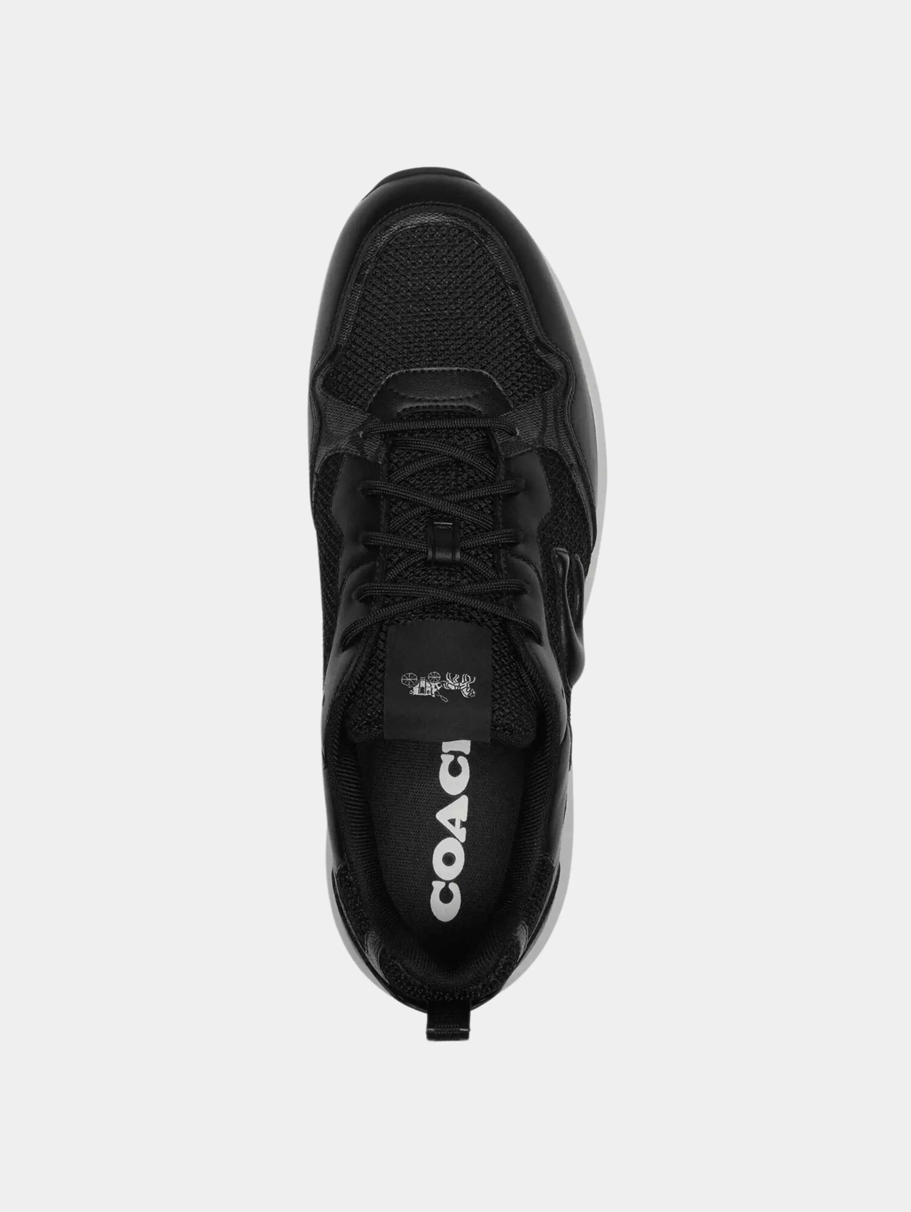 Strider Sneaker In Signature Canvas