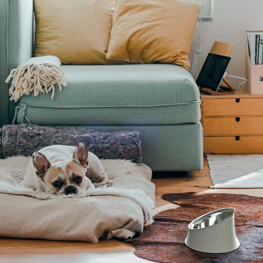 Wowl Dog Bowl